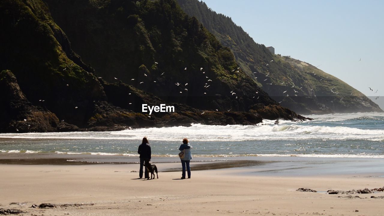 People with dog standing at beach by mountains against sky