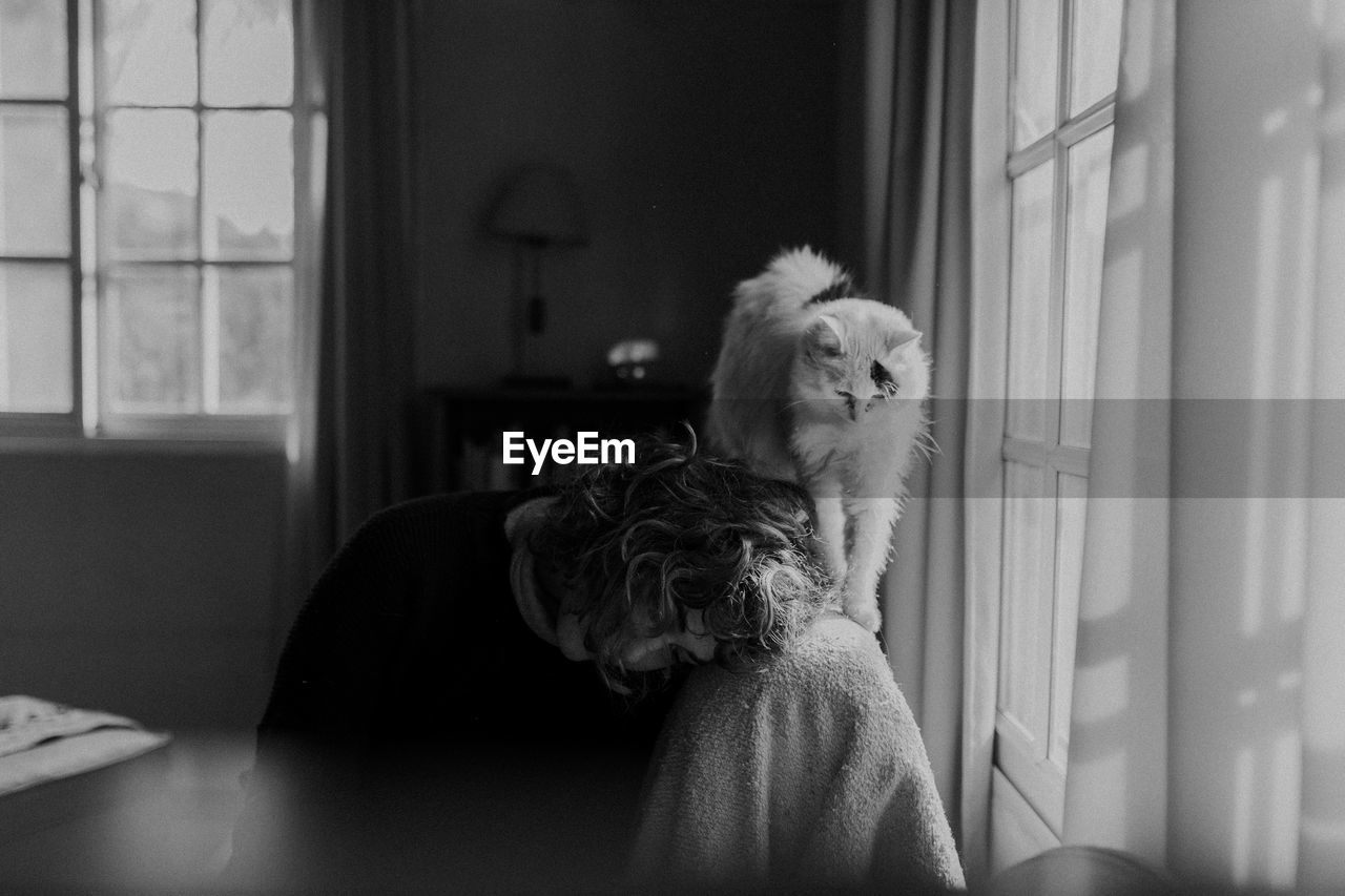 Portrait of girl  and a cat sitting on a couch by window at home