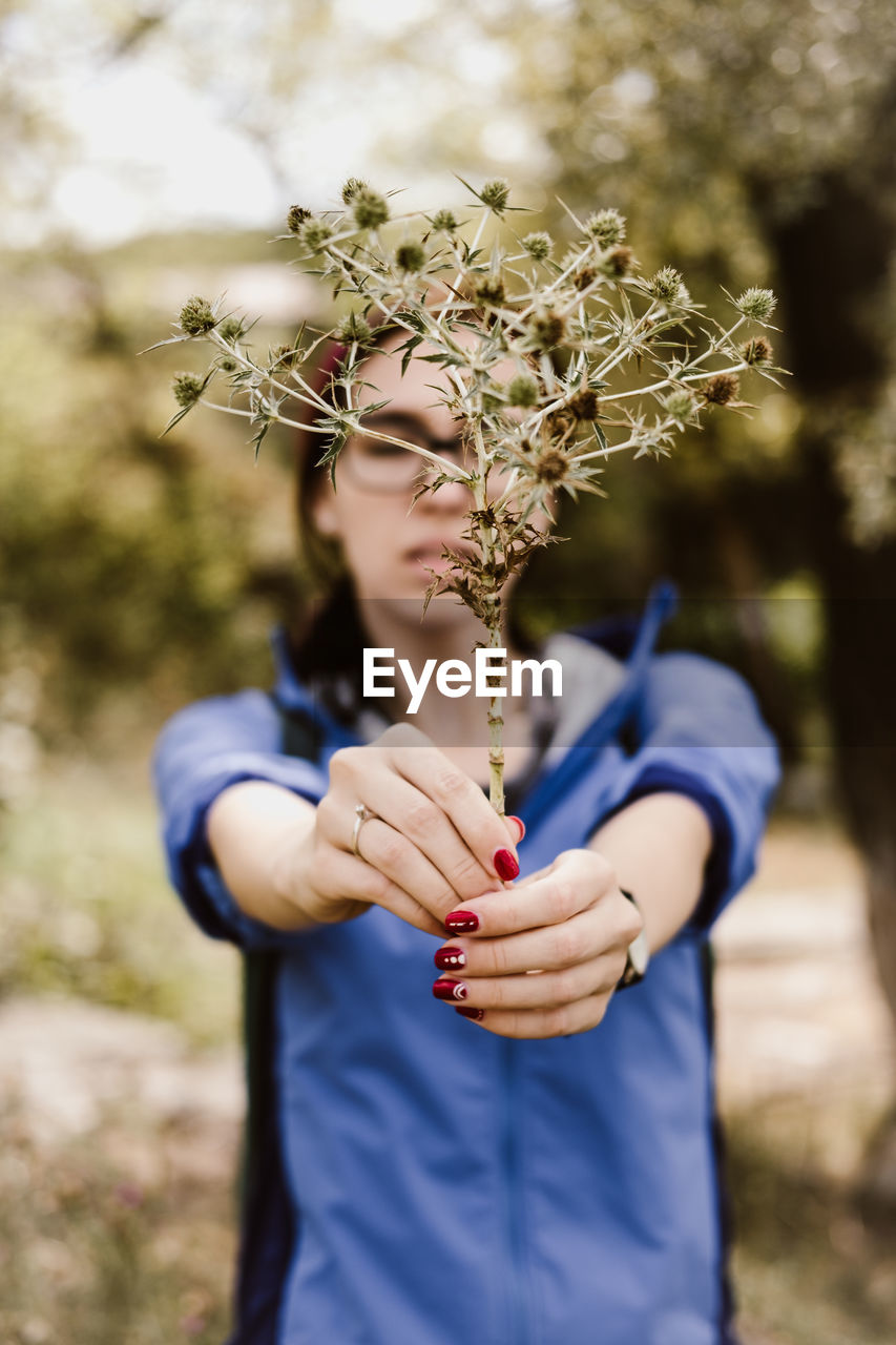 Close-up of plant held by young woman