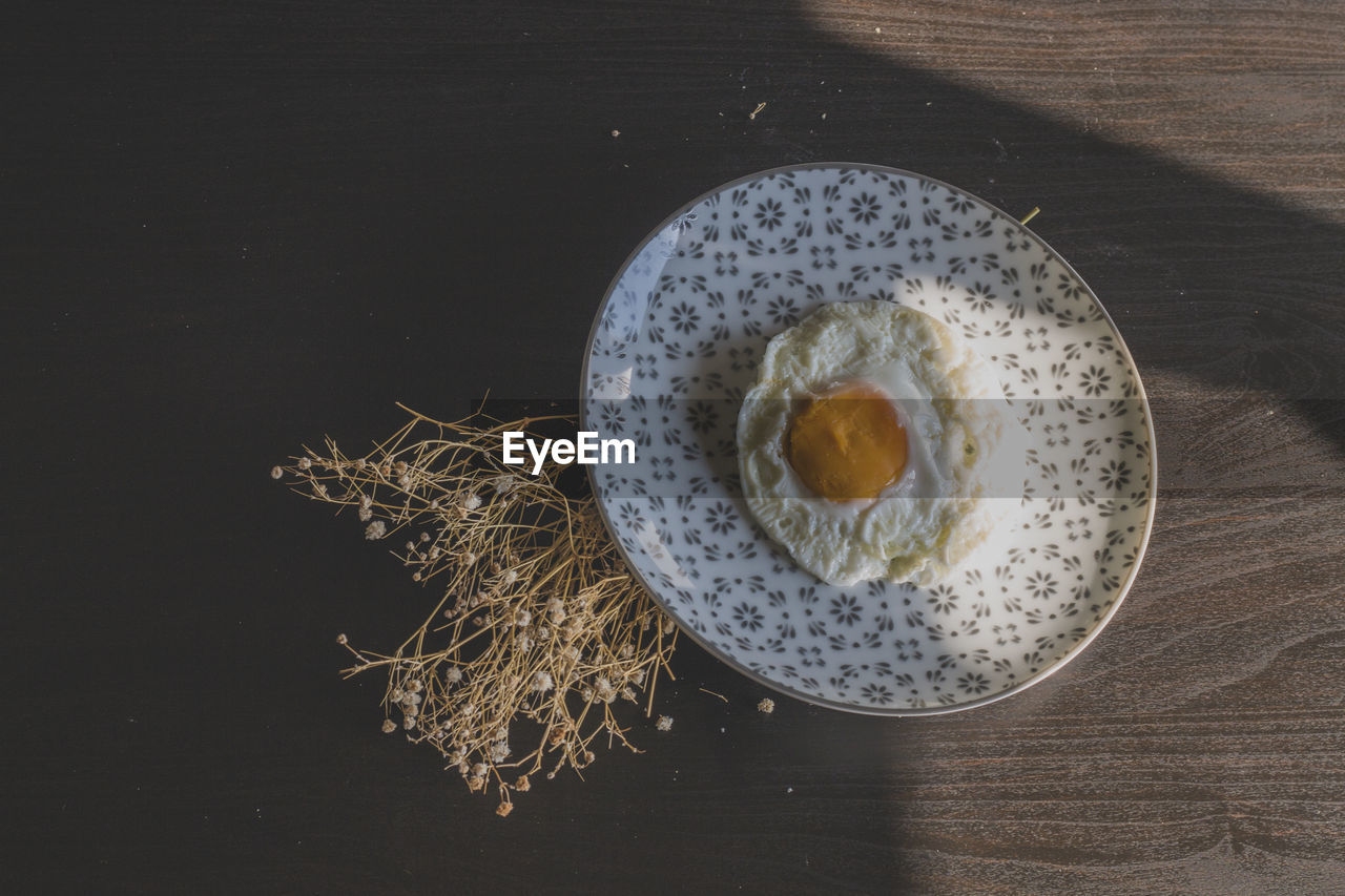 High angle view of breakfast with plant on table