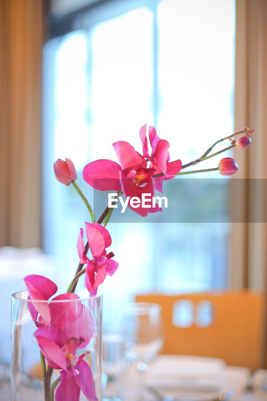 CLOSE-UP OF PINK FLOWER VASE ON TABLE AT HOME