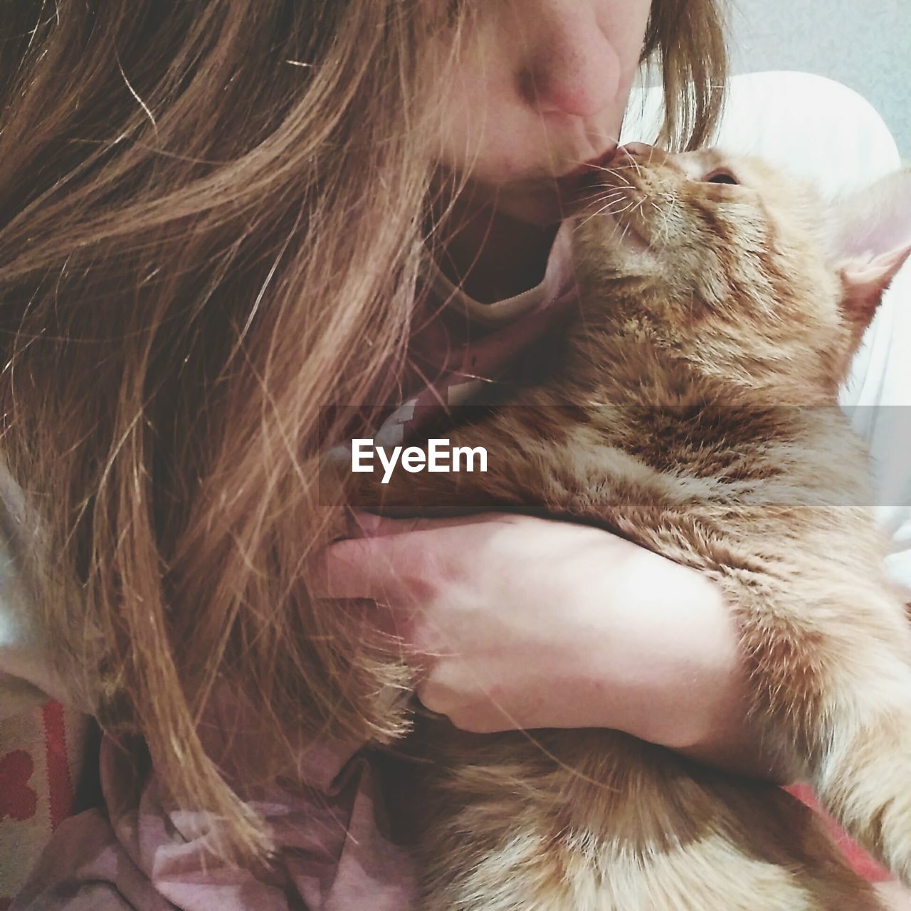 Cropped image of woman kissing cat