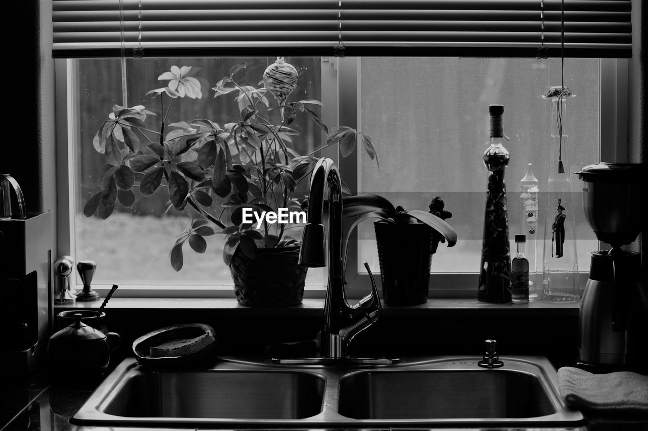 Potted plants on window sill in kitchen