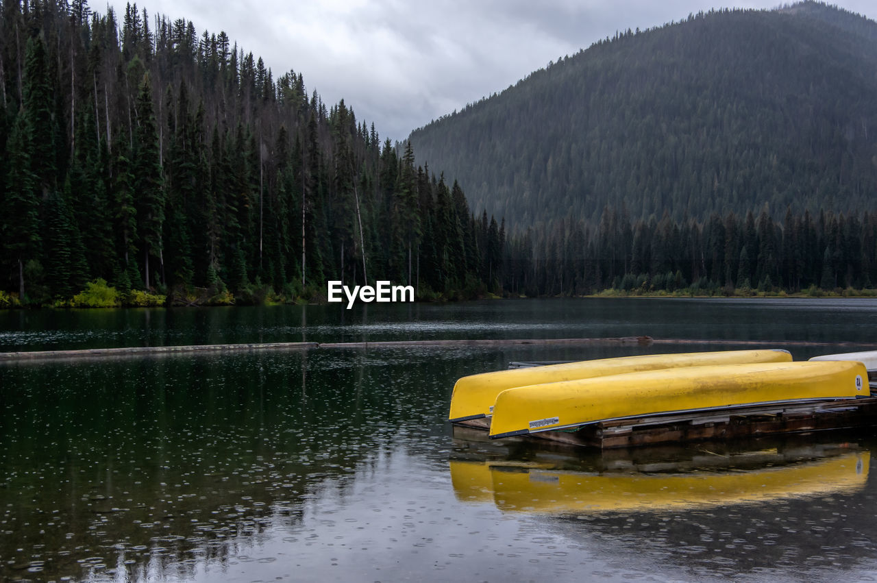 SCENIC VIEW OF LAKE AGAINST TREES