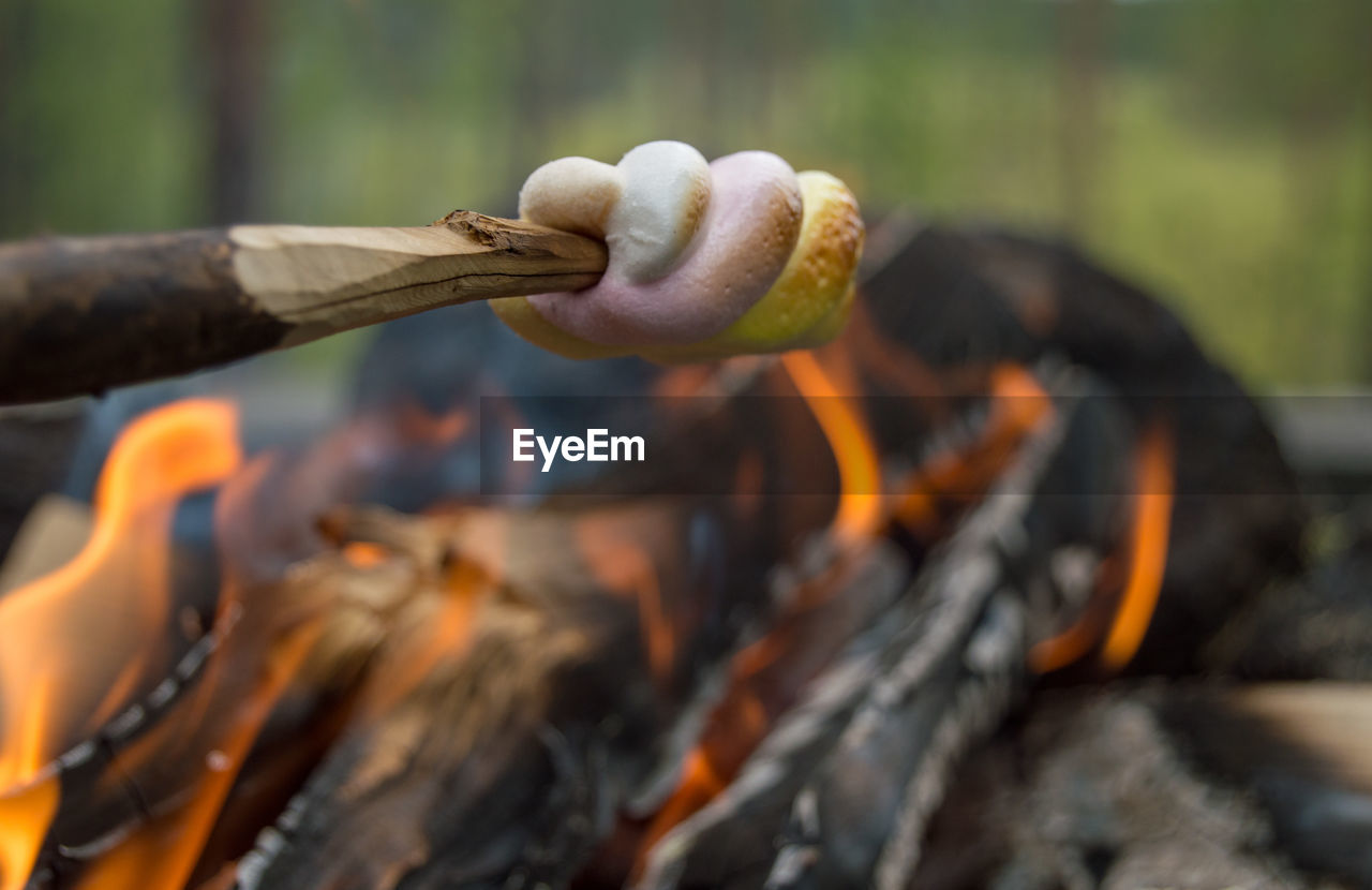 Close-up of marshmallow by campfire 