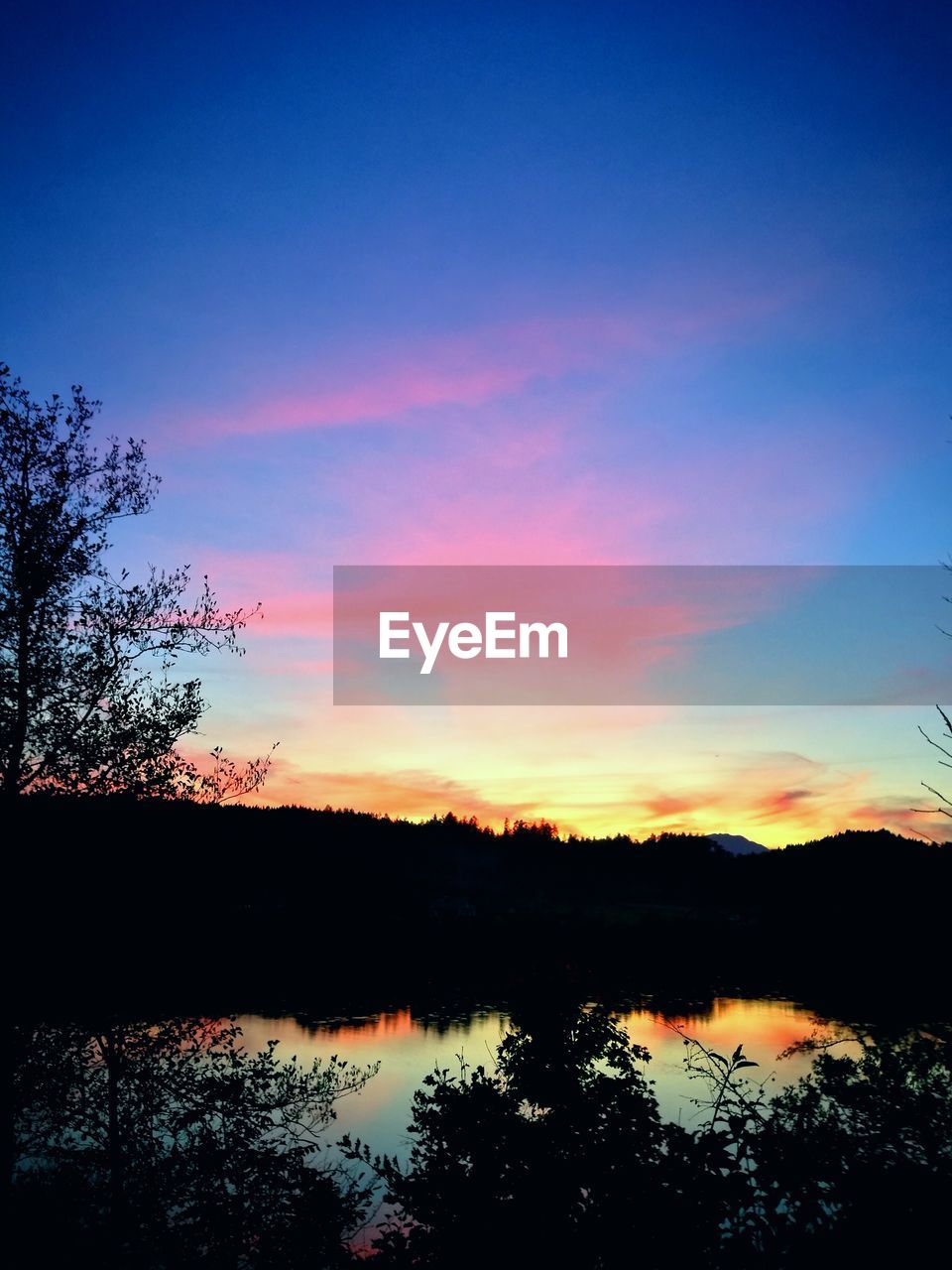 SILHOUETTE TREES BY LAKE AGAINST SKY DURING SUNSET