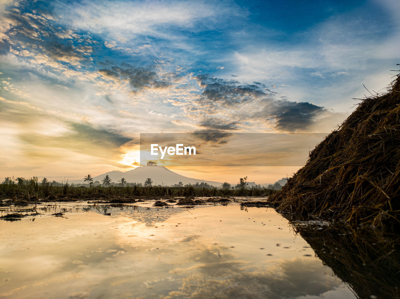 SCENIC VIEW OF SEA DURING SUNSET