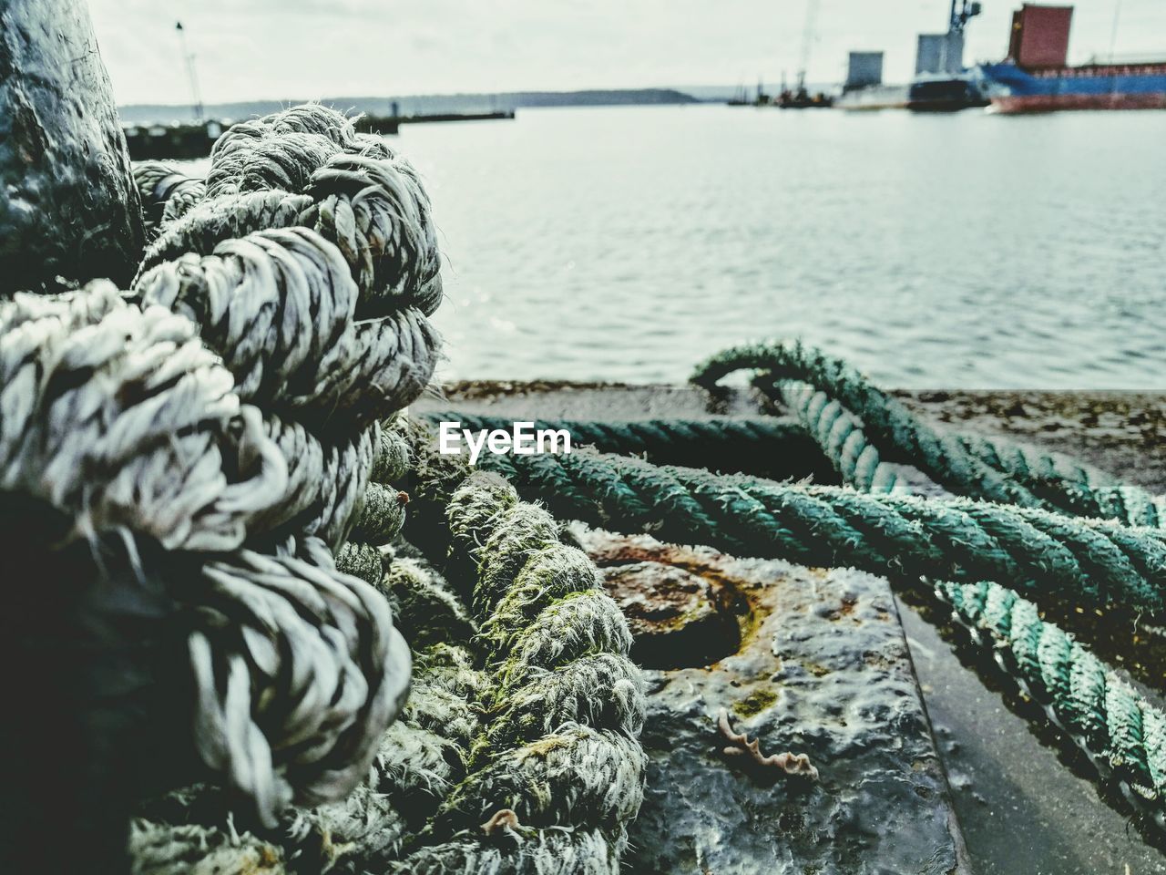 Close-up of ropes at harbor