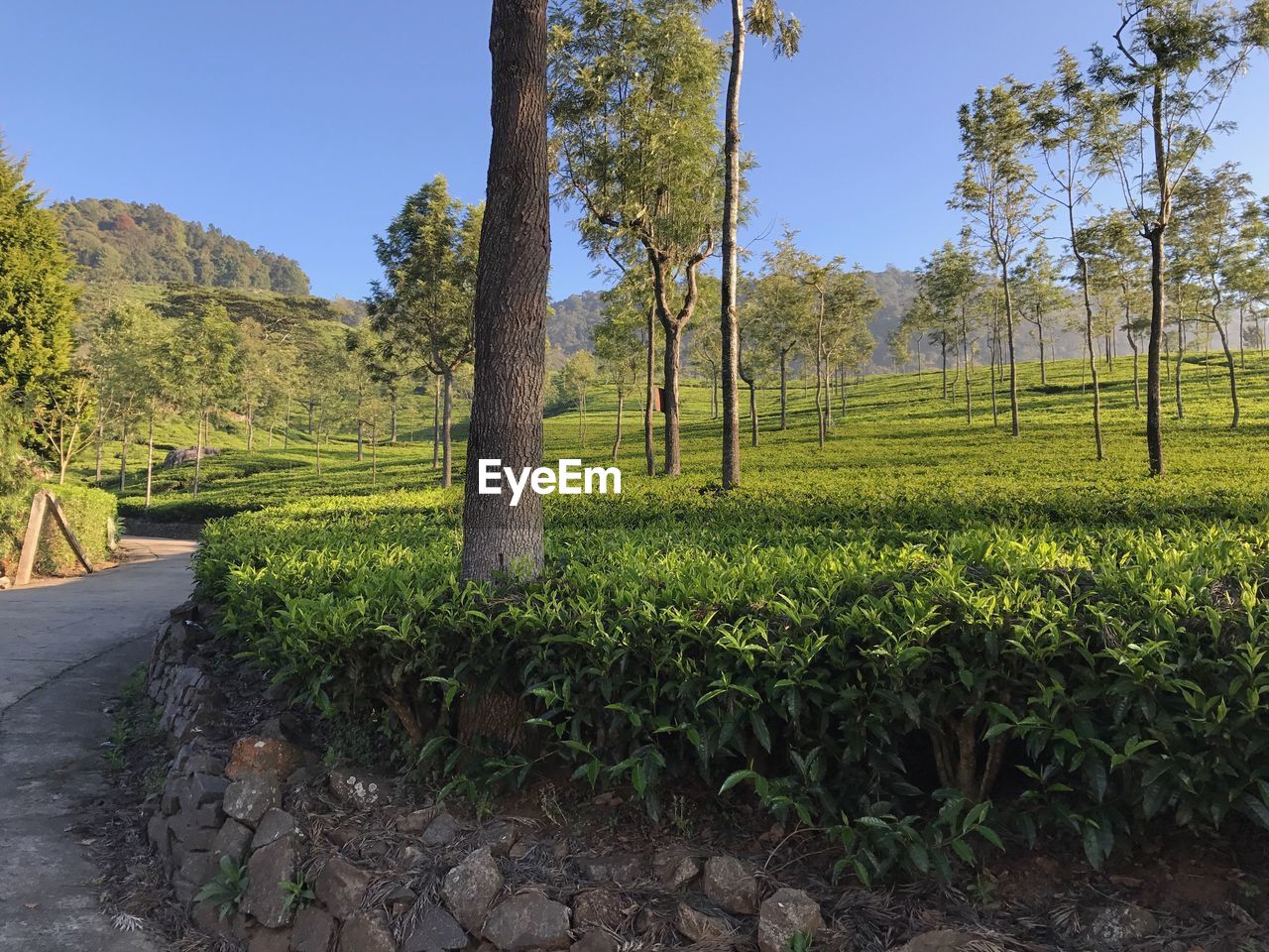 SCENIC VIEW OF LAND AGAINST SKY
