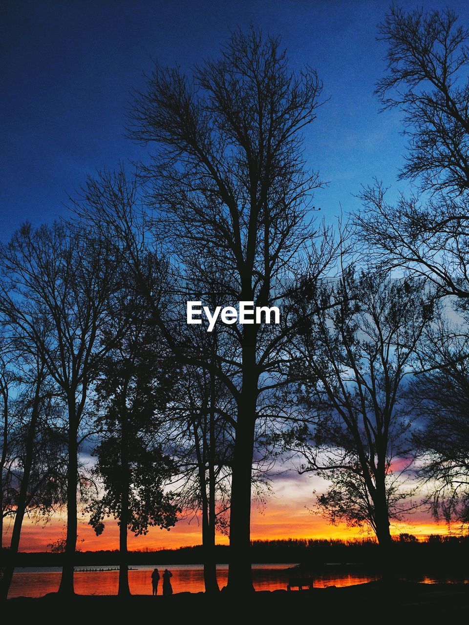 Silhouette trees by lake against sky during sunset