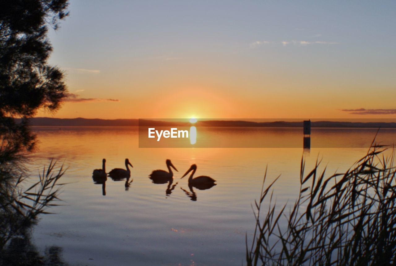 Scenic view of lake at sunset