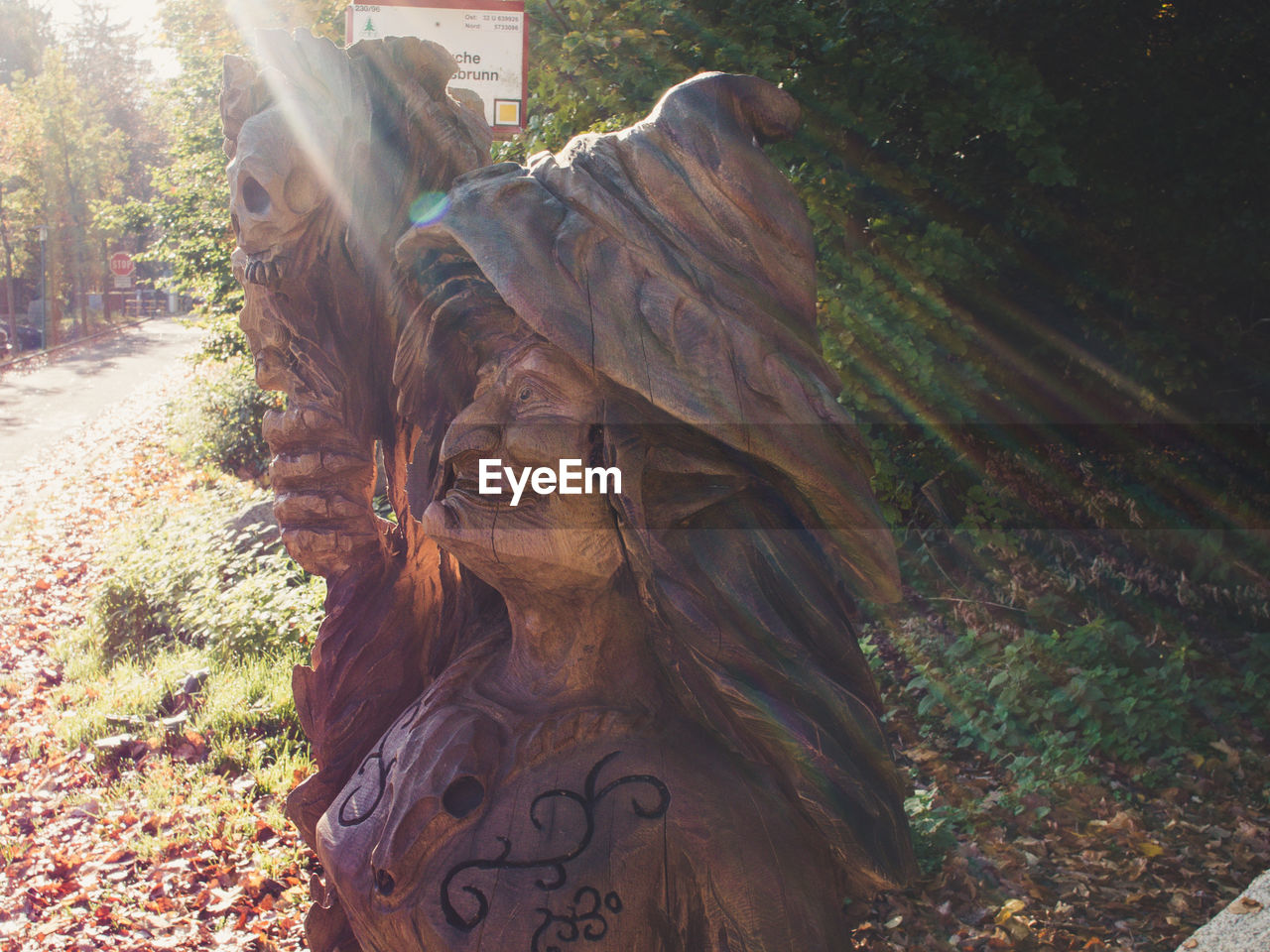 CLOSE-UP OF STATUE AGAINST TREE