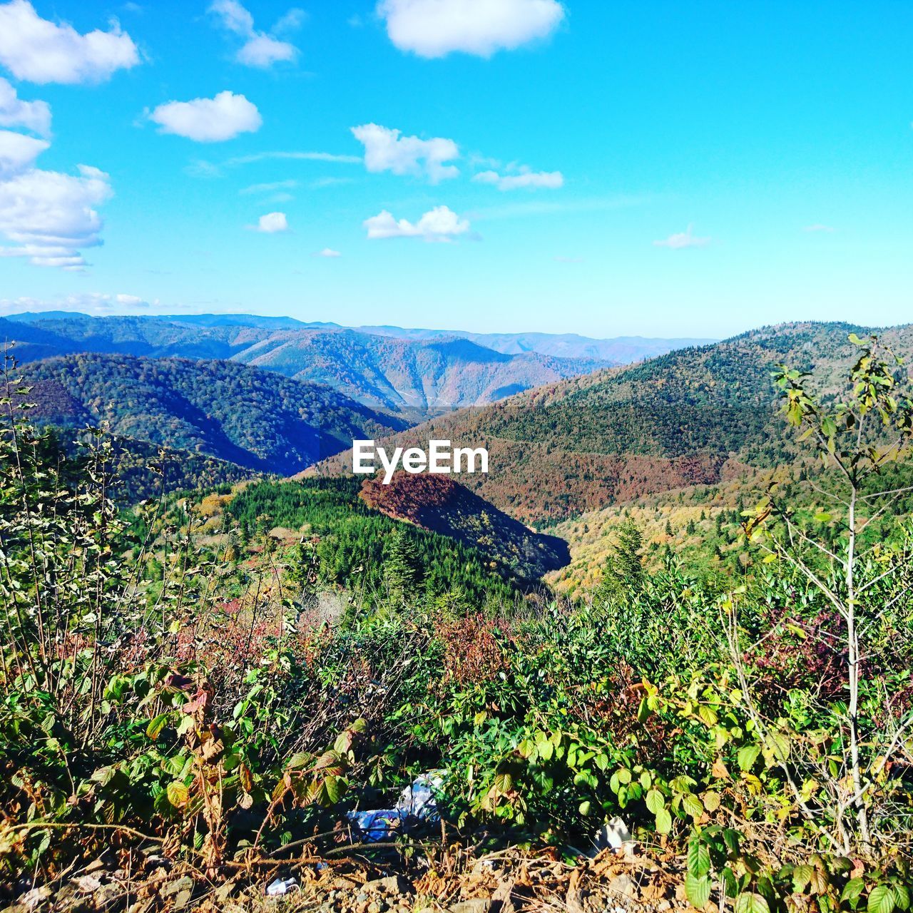 SCENIC VIEW OF FARM AGAINST SKY