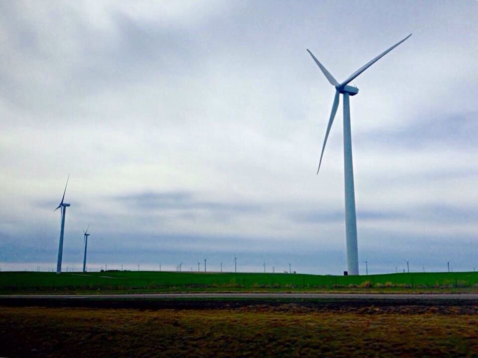 WIND TURBINES ON FIELD