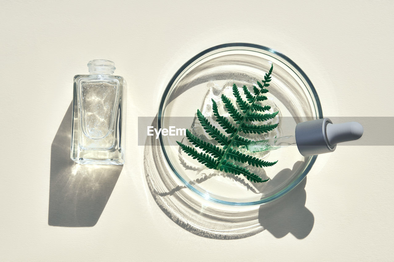 Flat lay of cosmetics serum and and laboratory glassware with fresh leaves of fern.