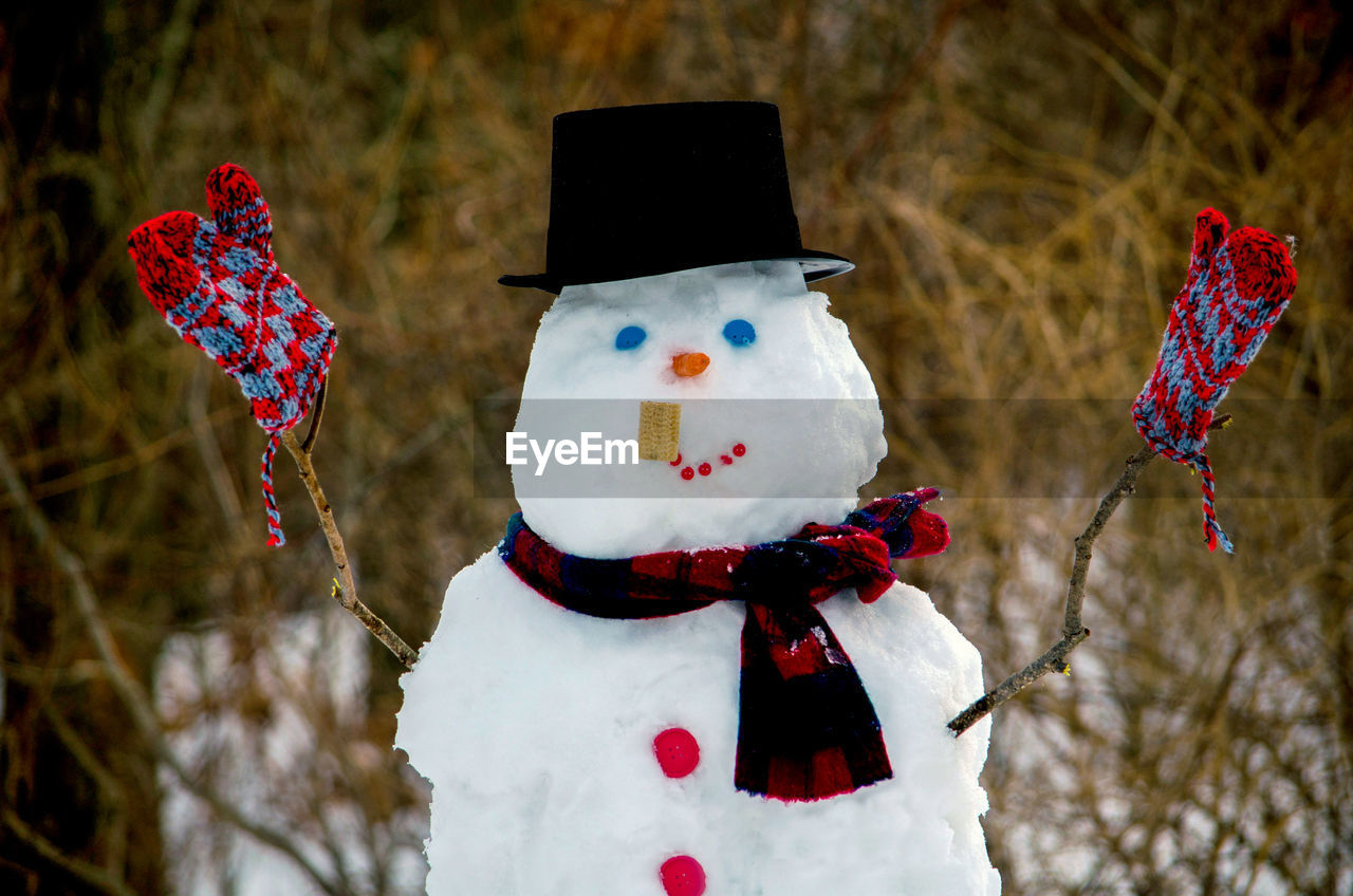 A snowman out in a wintry woods is very happy about the winter vortex