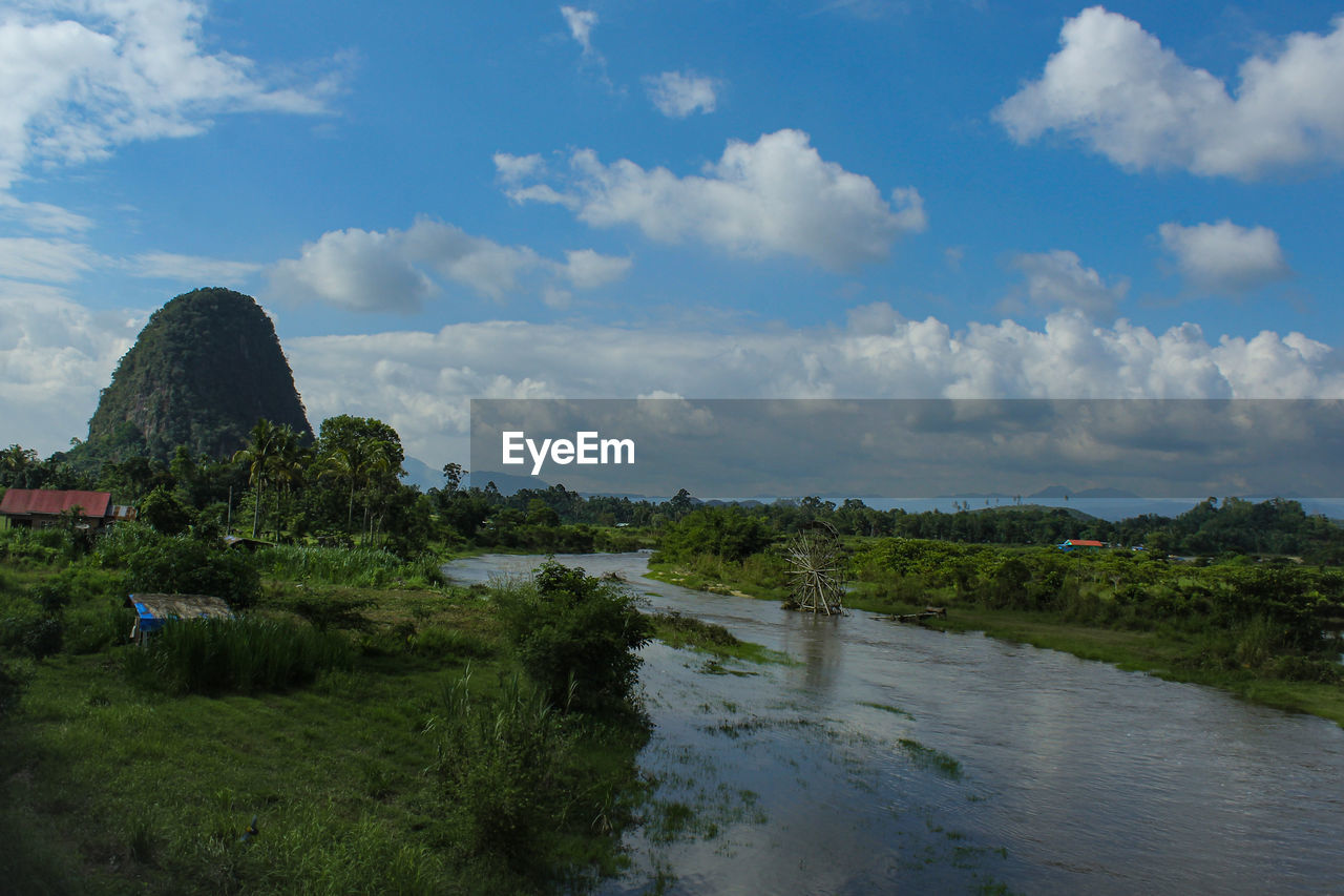 PLANTS BY RIVER AGAINST SKY