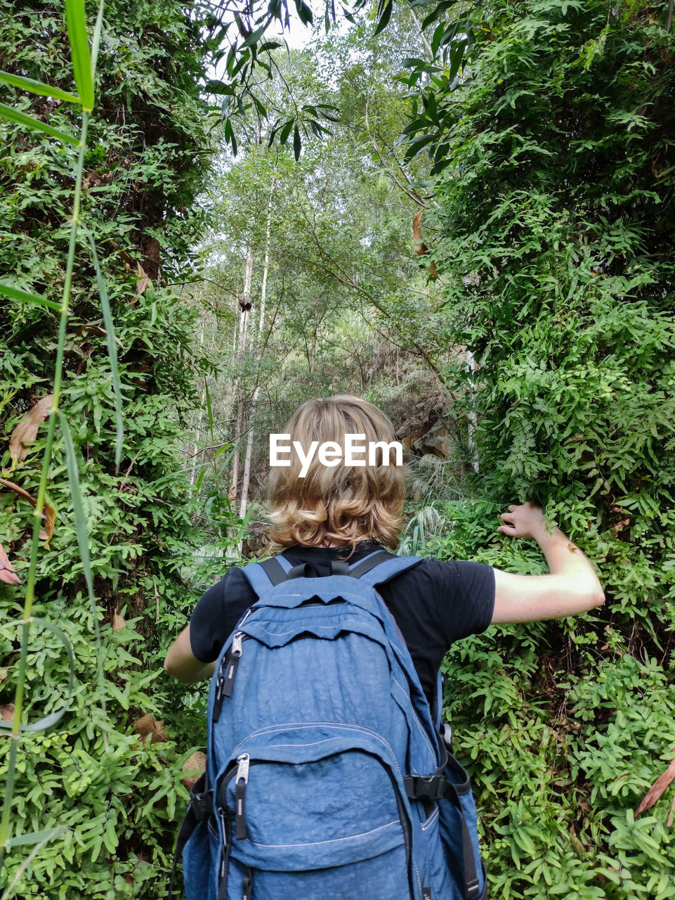 Rear view of girl in forest