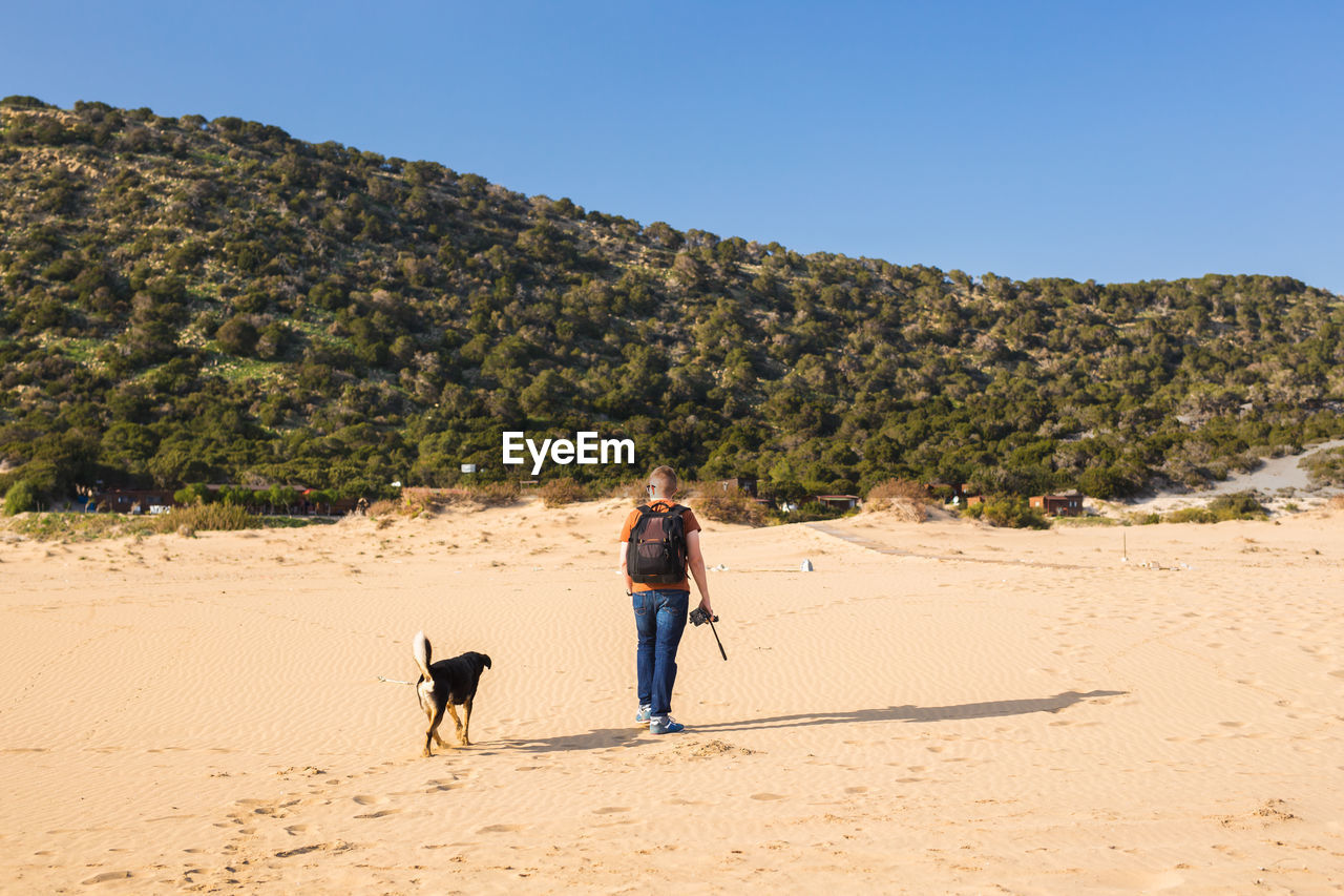 FULL LENGTH OF A DOG WALKING ON A BEACH