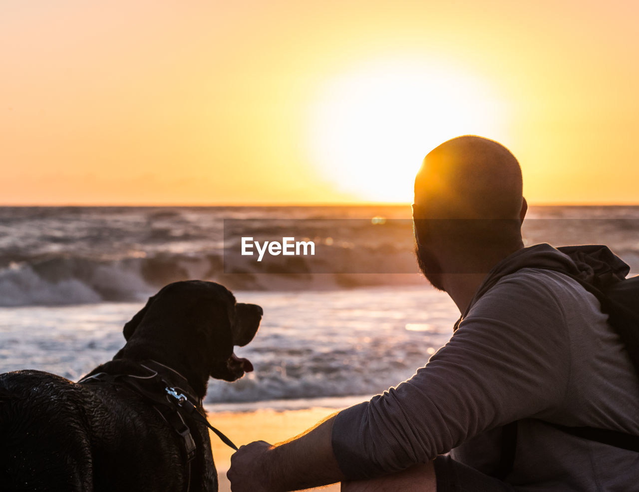 Man with dog at beach against sky during sunset