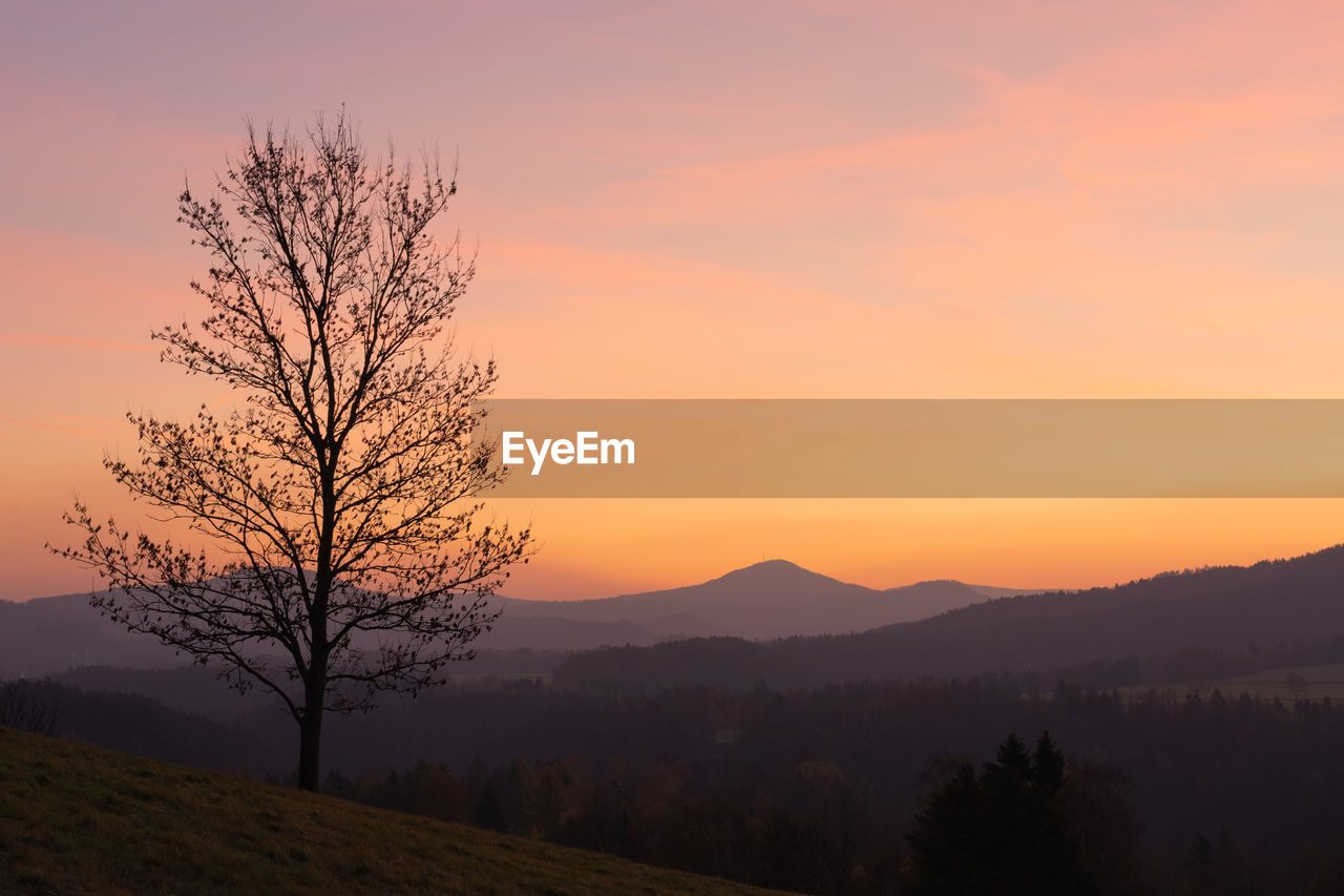 Sunrise in bohemian switzerland national park in the czech republic. silhouette of  bare lone tree