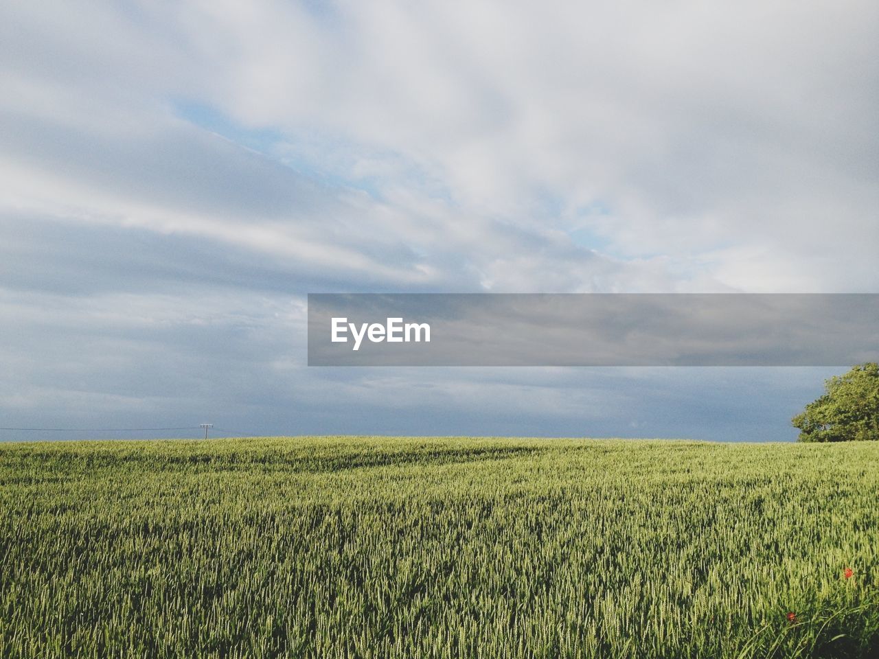 View of fields against clouds