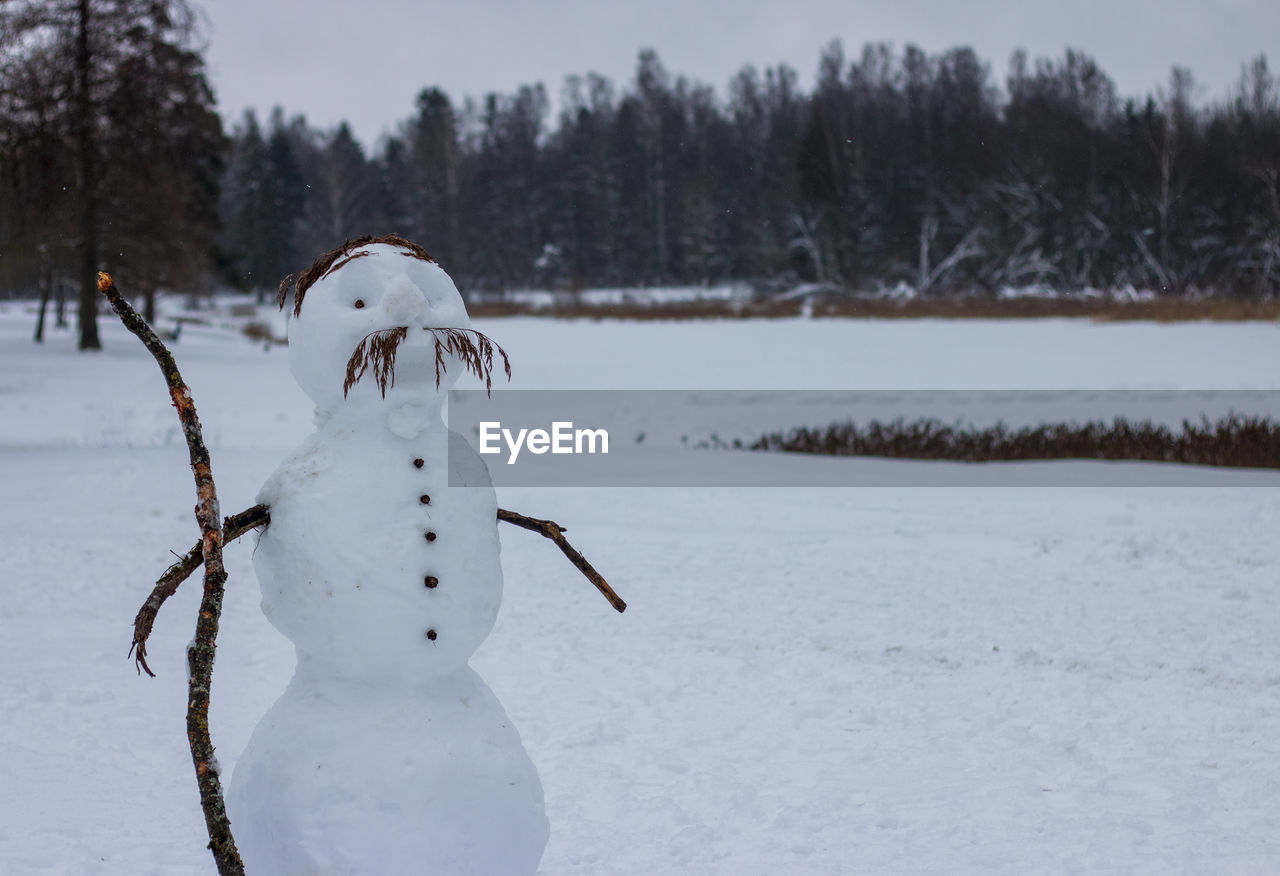 Snow covered land and trees on field during winter