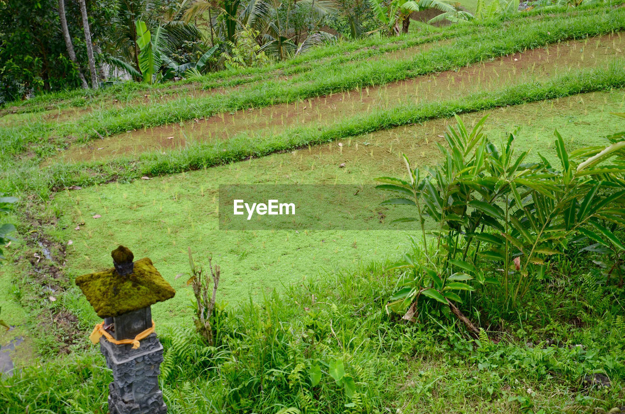 High angle view of field