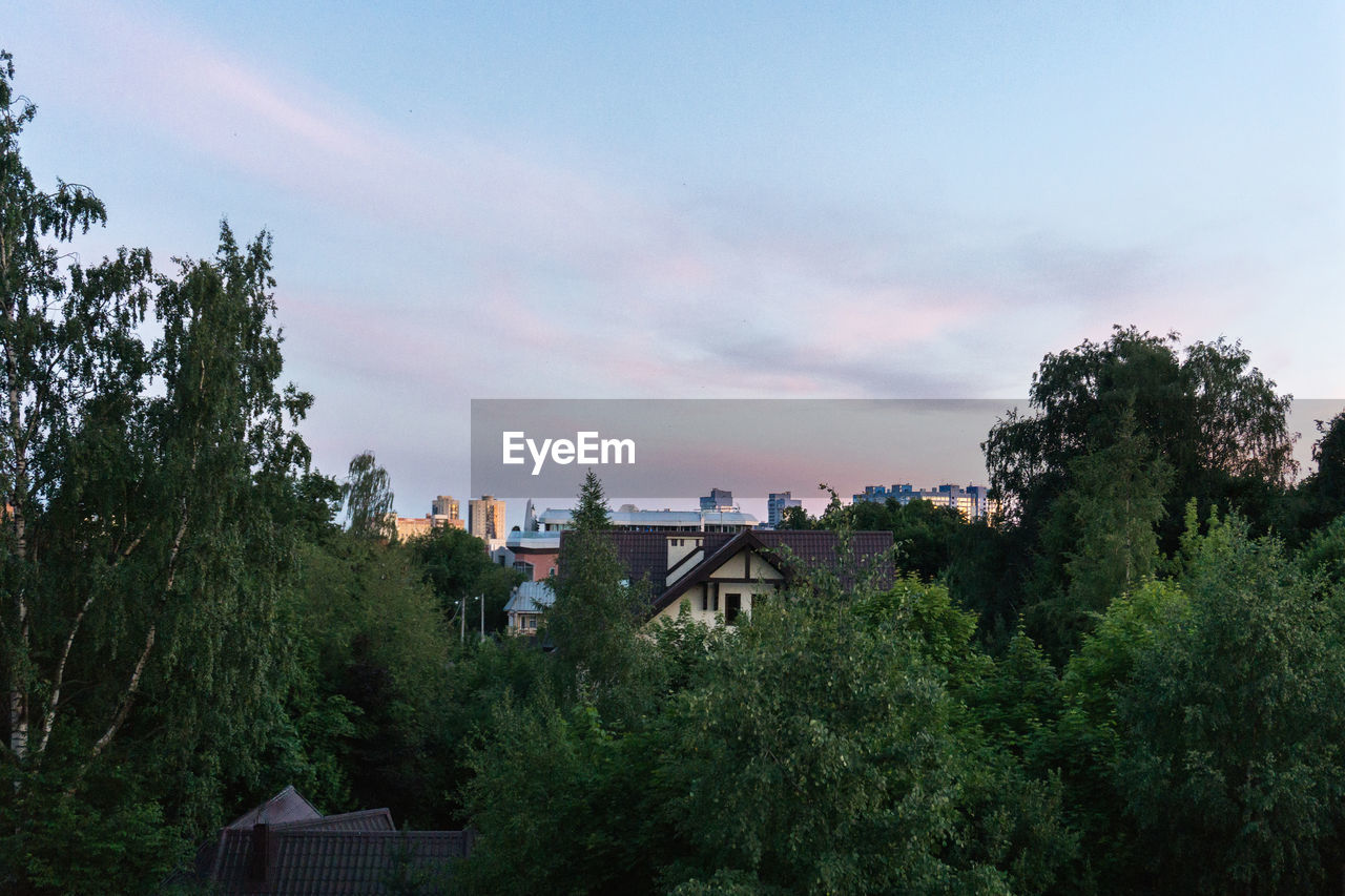 HIGH ANGLE VIEW OF TREES AND BUILDING AGAINST SKY