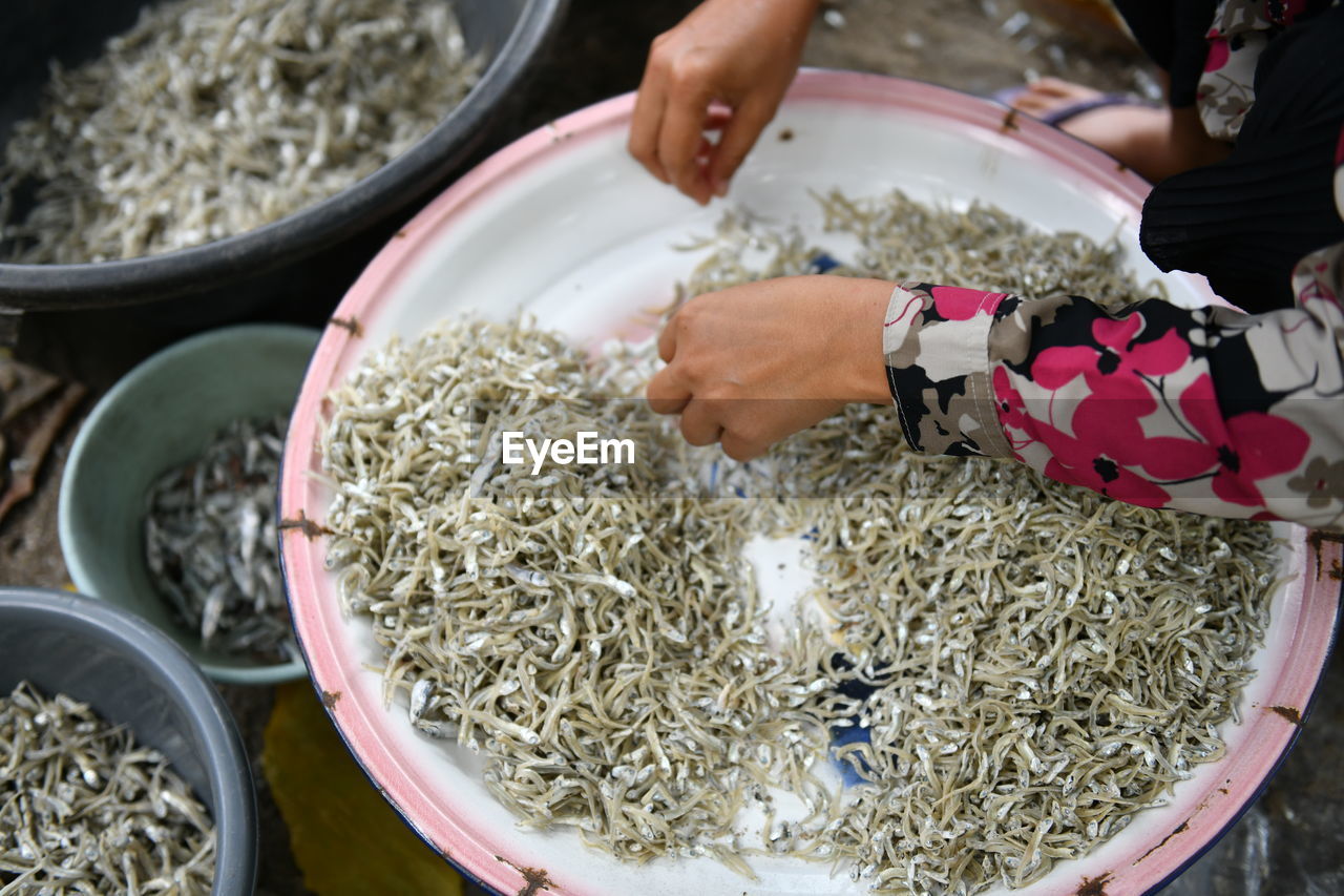 Midsection of woman preparing food or anchovy