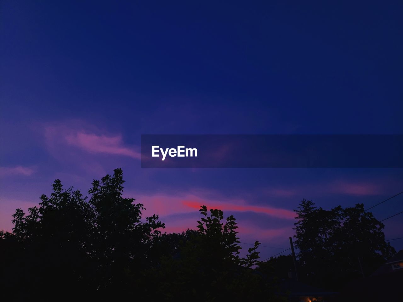LOW ANGLE VIEW OF SILHOUETTE TREES AGAINST SKY AT DUSK