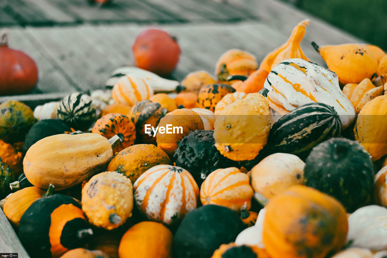 Close-up of pumpkins