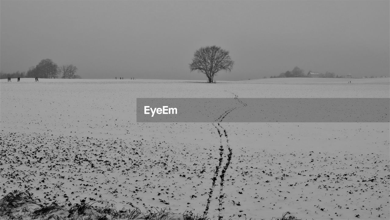 SCENIC VIEW OF SNOWY FIELD AGAINST CLEAR SKY