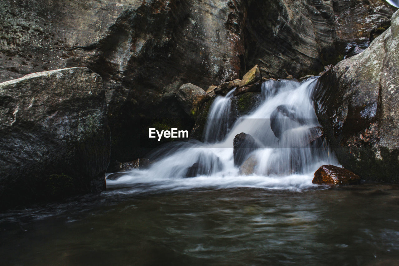 WATERFALL IN FOREST