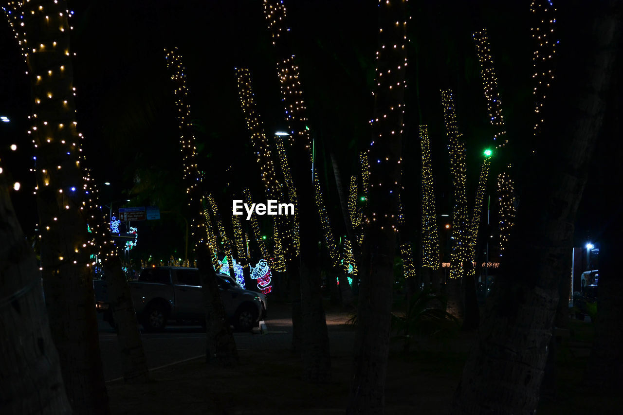 LOW ANGLE VIEW OF ILLUMINATED CHRISTMAS LIGHTS AT NIGHT