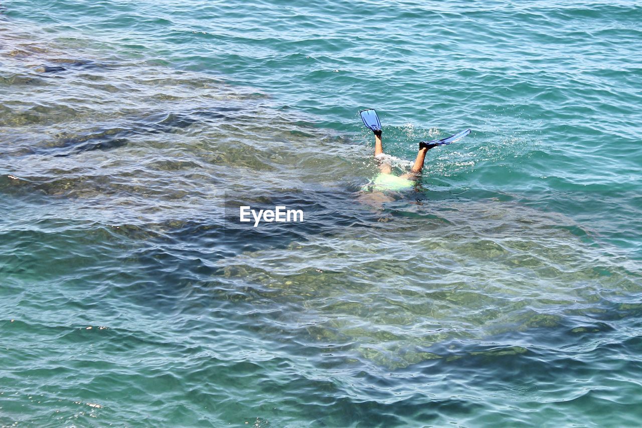 HIGH ANGLE VIEW OF DUCK SWIMMING IN SEA