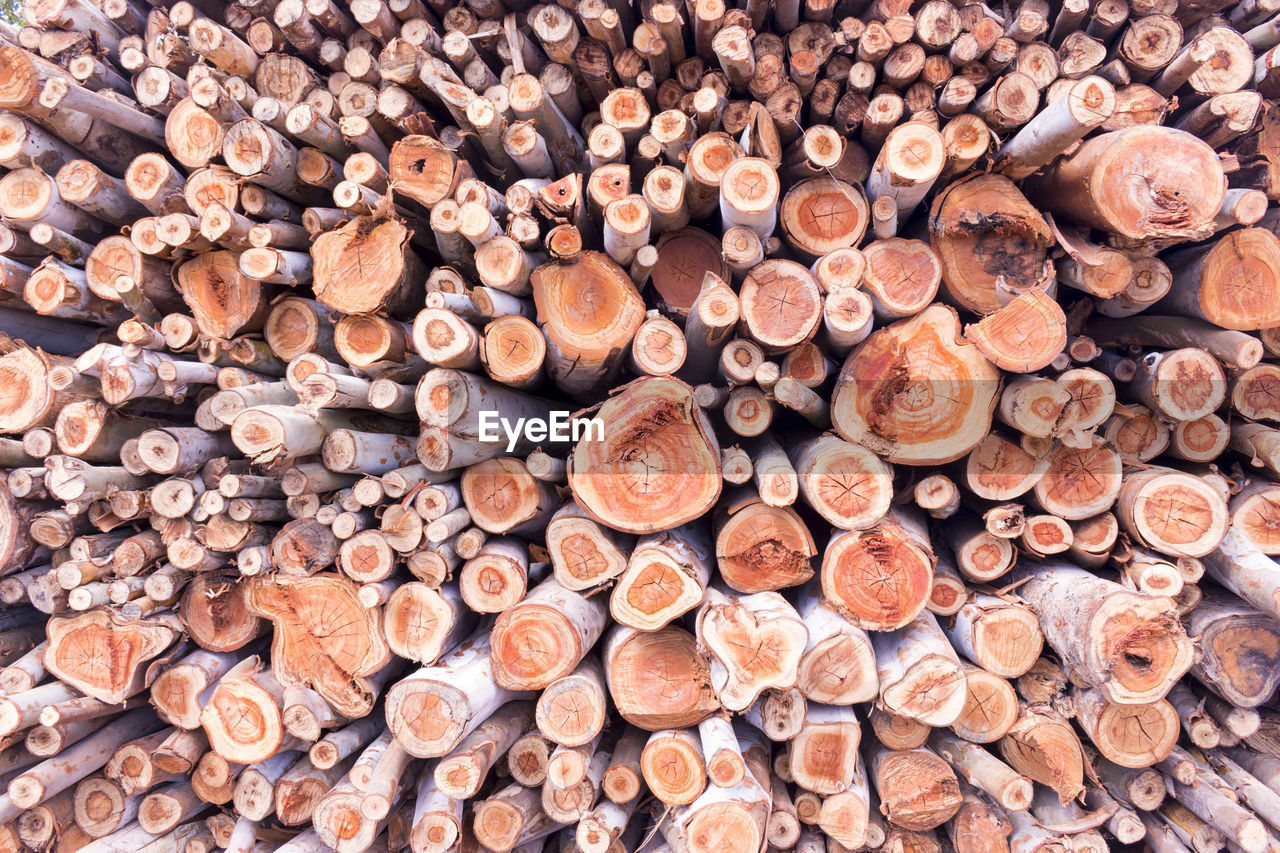 Full frame shot of logs