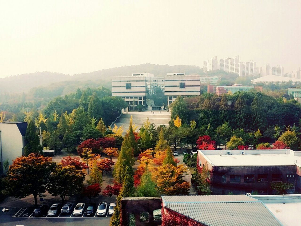 High angle view of buildings and trees in city during autumn