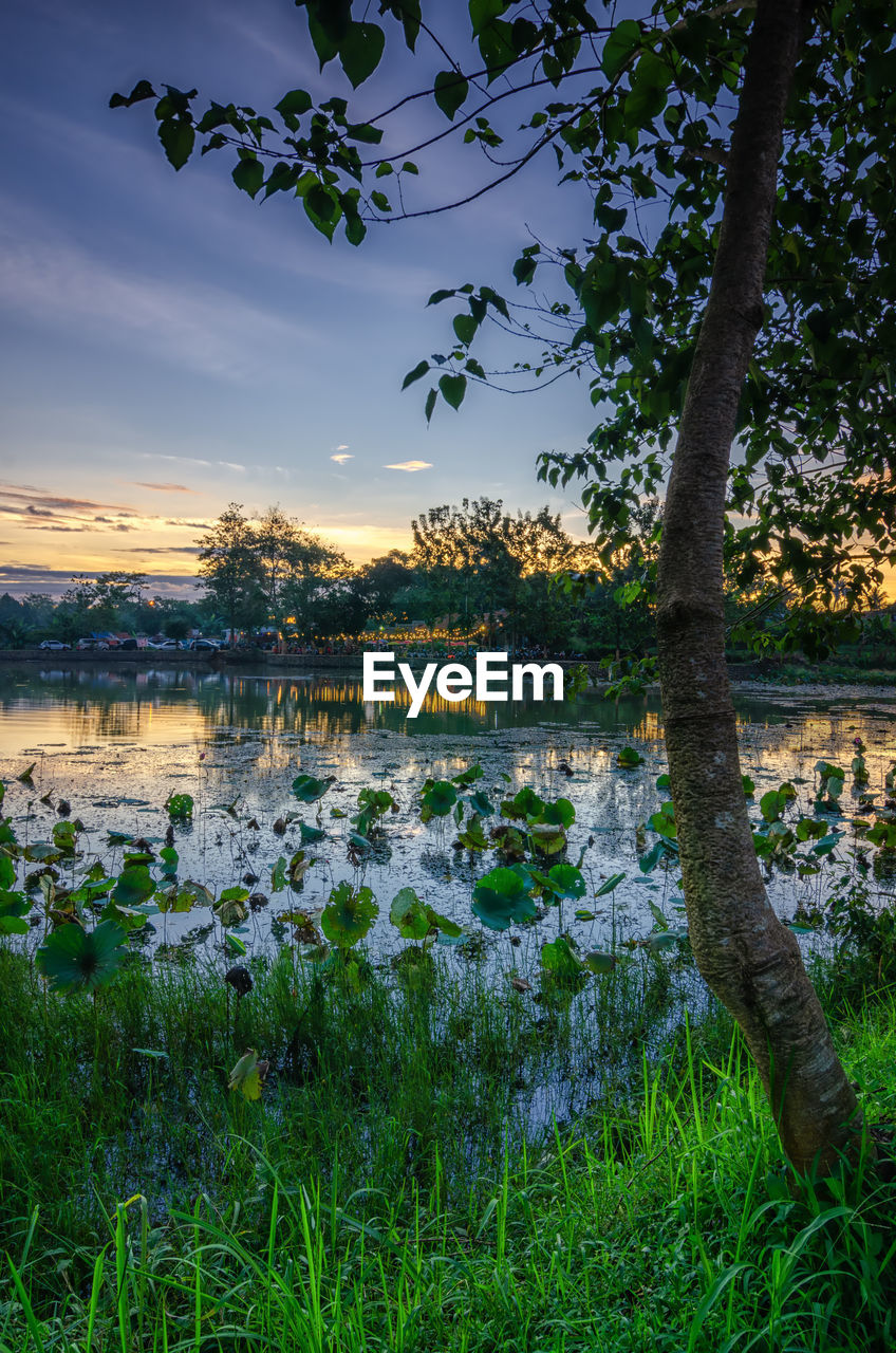 SCENIC VIEW OF LAKE DURING SUNSET