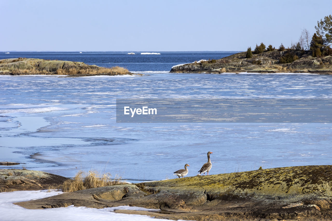 SCENIC VIEW OF BEACH