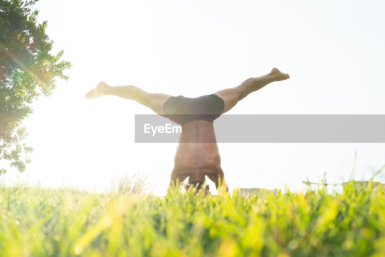 Green grass growing on lawn near male doing headstand during yoga session on sunny day in park