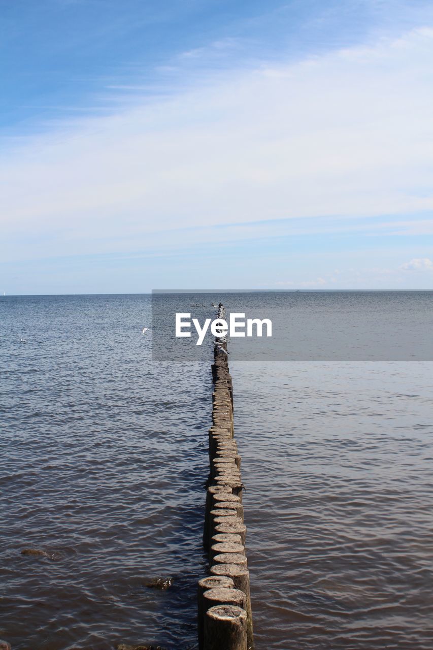 WOODEN POSTS IN SEA