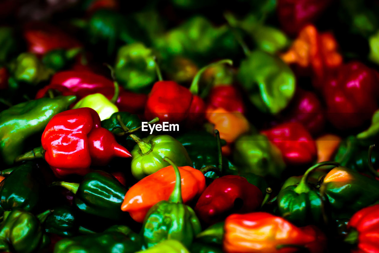 Close-up of colorful bell peppers