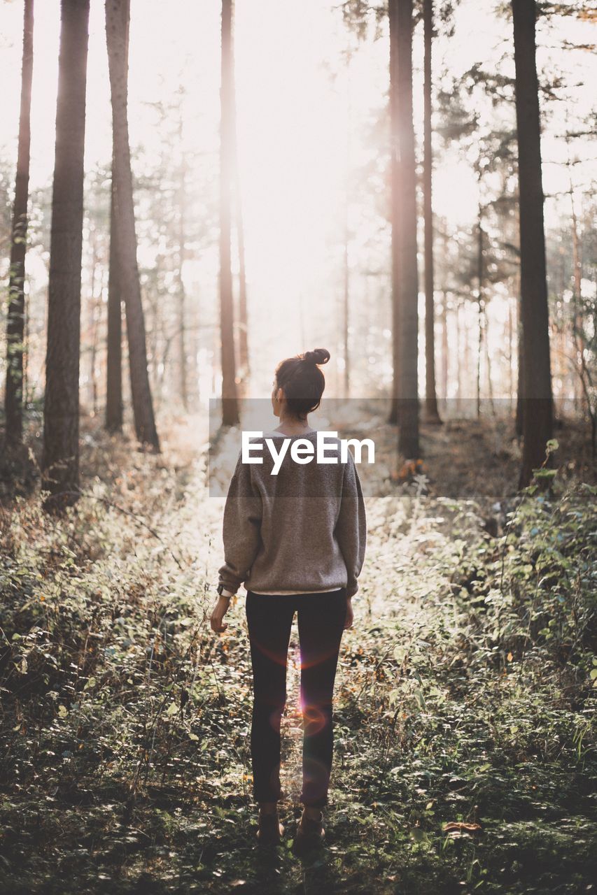 Rear view of woman standing in forest