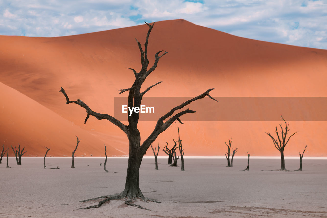 Dry trees among dunes in the namibian landscape at deadvlei