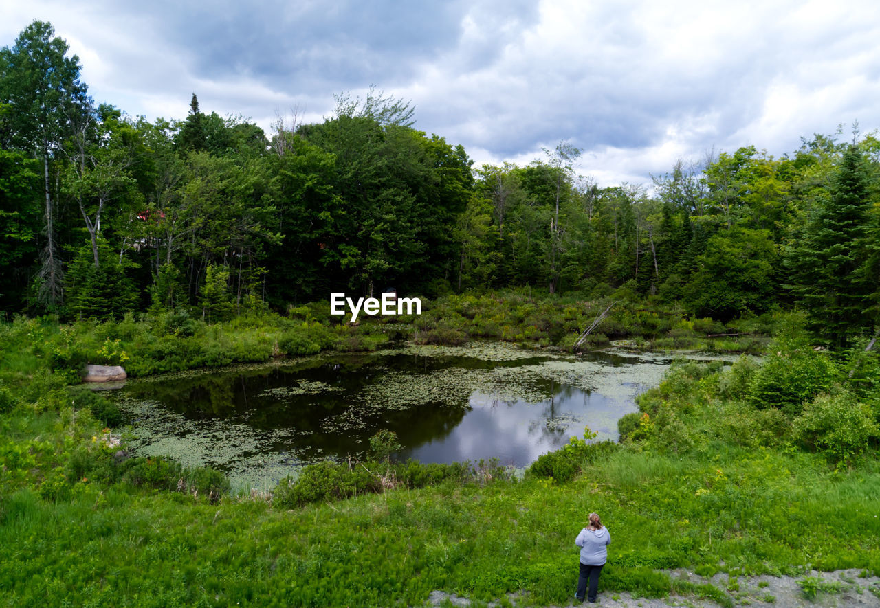 SCENIC VIEW OF LAKE AGAINST TREES