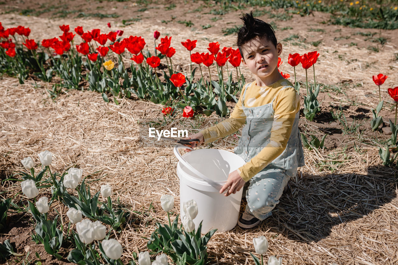 Girl with short haircut preparing to pick tulips from the field