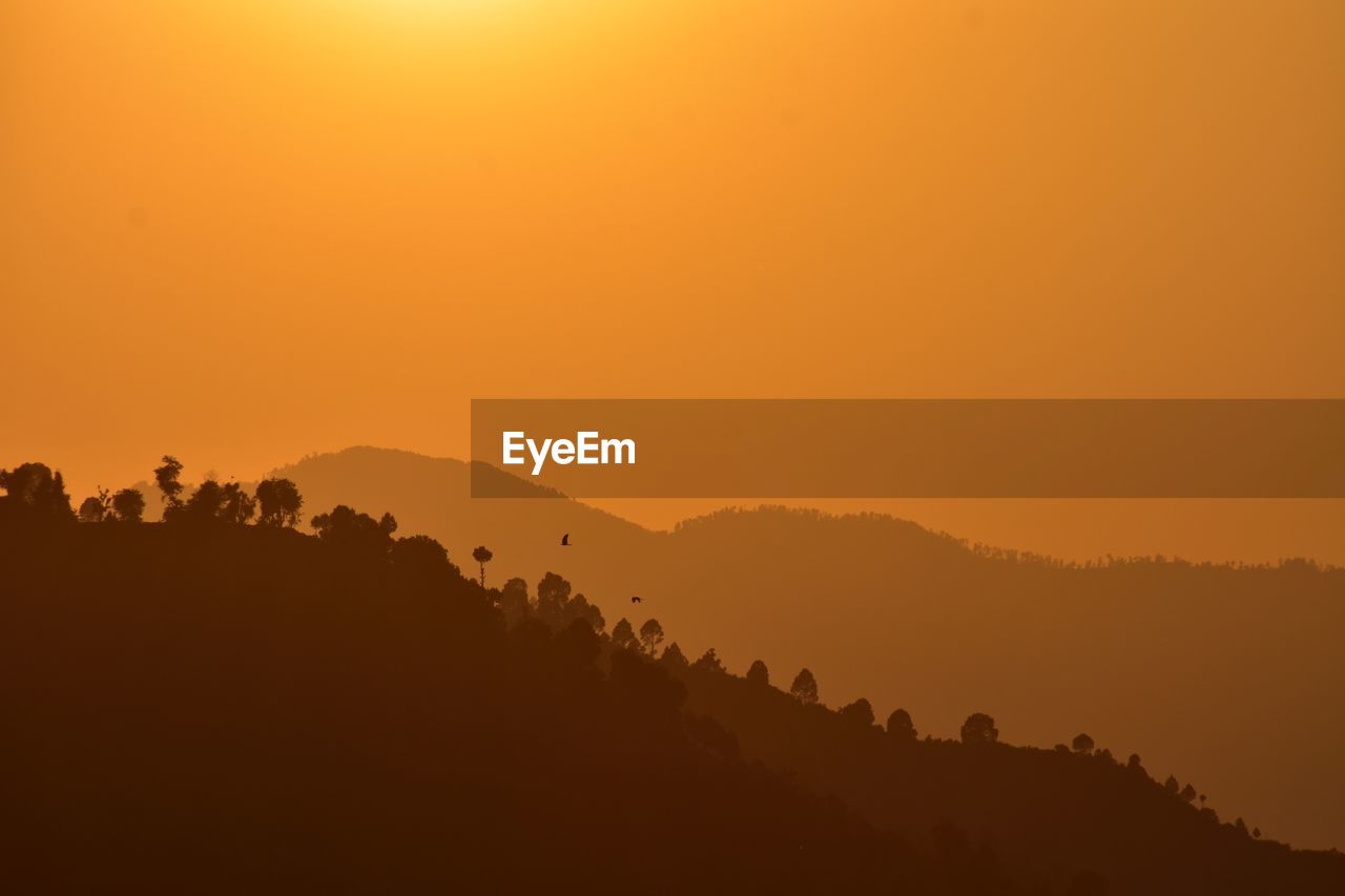 SILHOUETTE TREES ON MOUNTAIN AGAINST ORANGE SKY