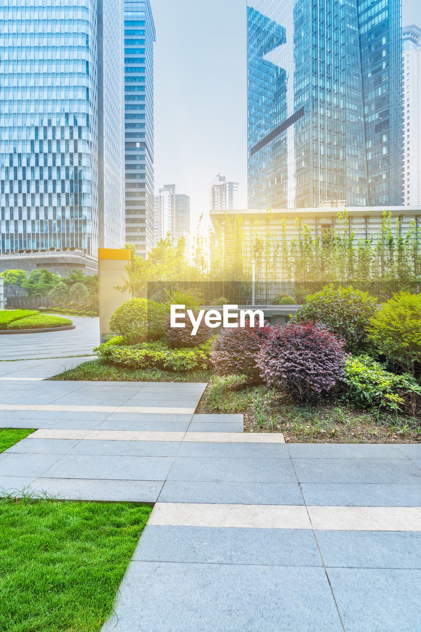 PLANTS GROWING BY MODERN BUILDING IN CITY