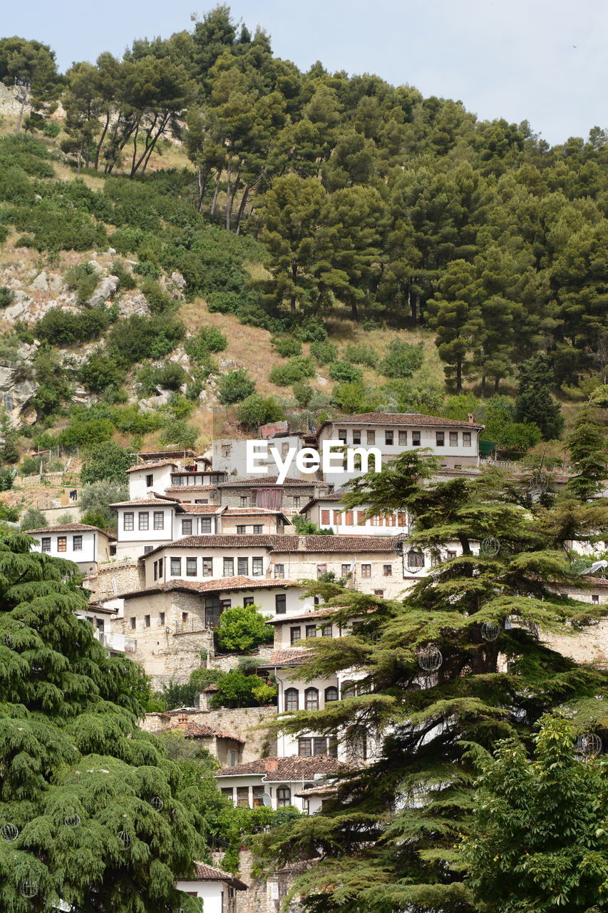 Traditional houses in berat. albania